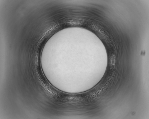 X0000094910733200712201157