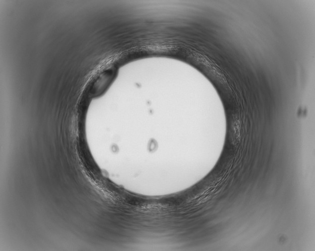 X0000094910734200712201157