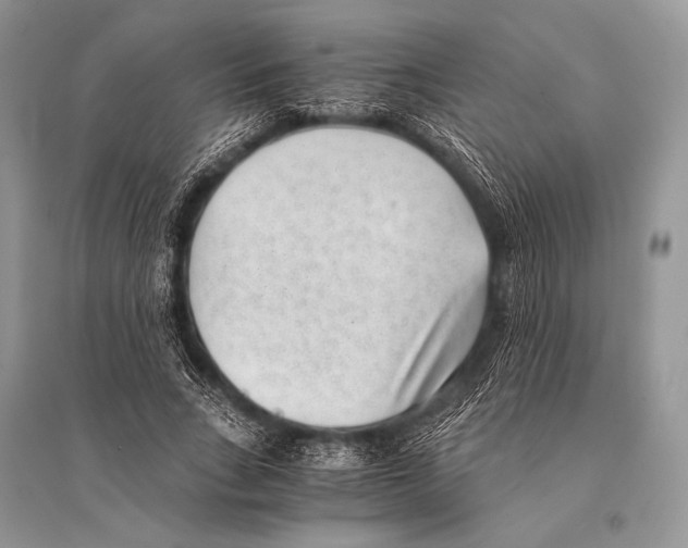 X0000094910735200712201157