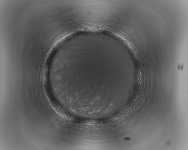 X0000094910736200712201157