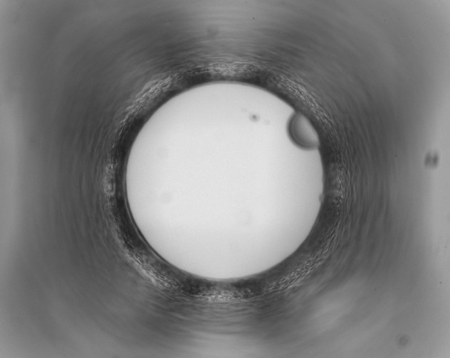 X0000094910738200712201157