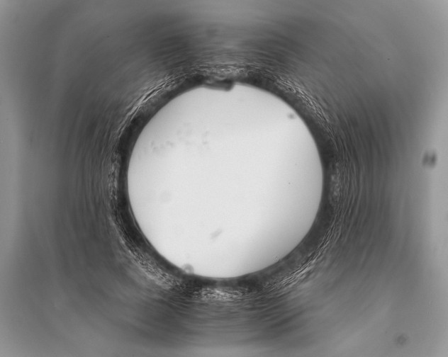X0000094910739200712201157