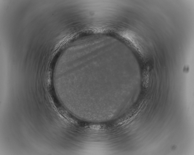 X0000094910740200712201157