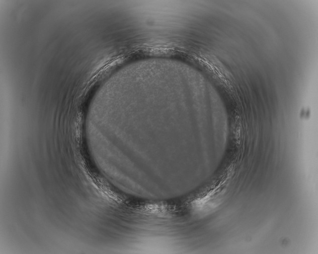 X0000094910744200712201157