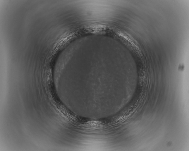 X0000094910748200712201157