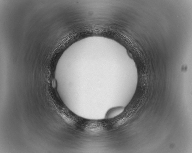 X0000094910750200712201157