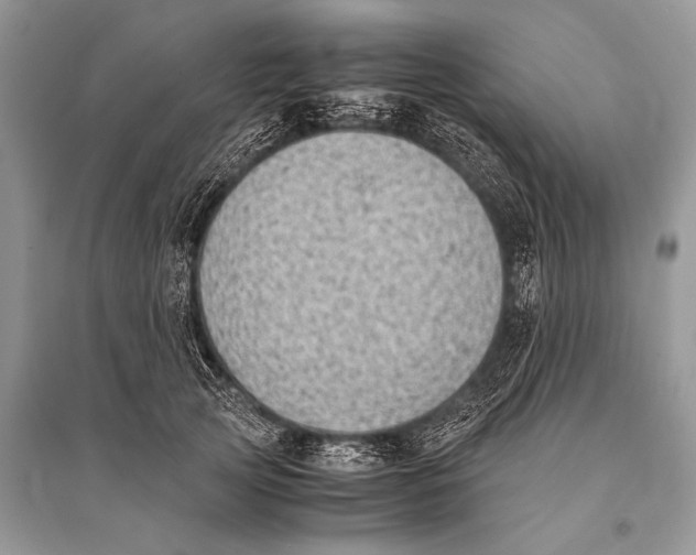 X0000094910753200712201157