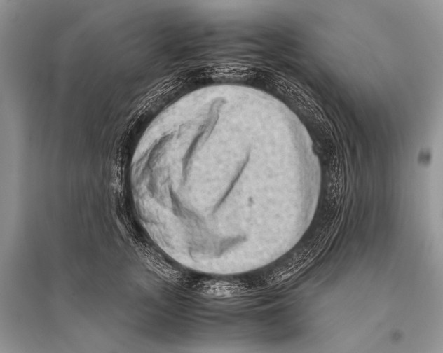 X0000094910755200712201157