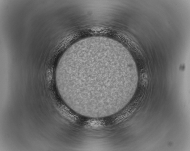 X0000094910756200712201157