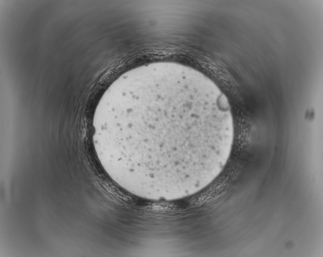 X0000094910758200712201157