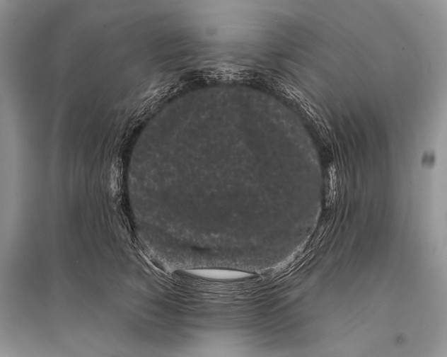 X0000094910760200712201157