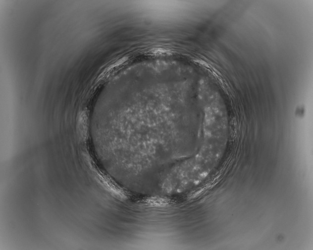 X0000094910762200712201157