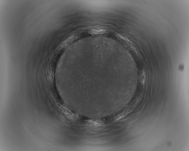 X0000094910763200712201157