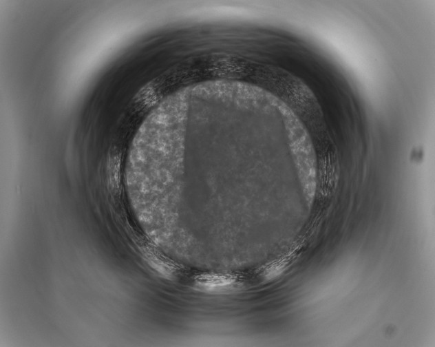 X0000094910765200712201157