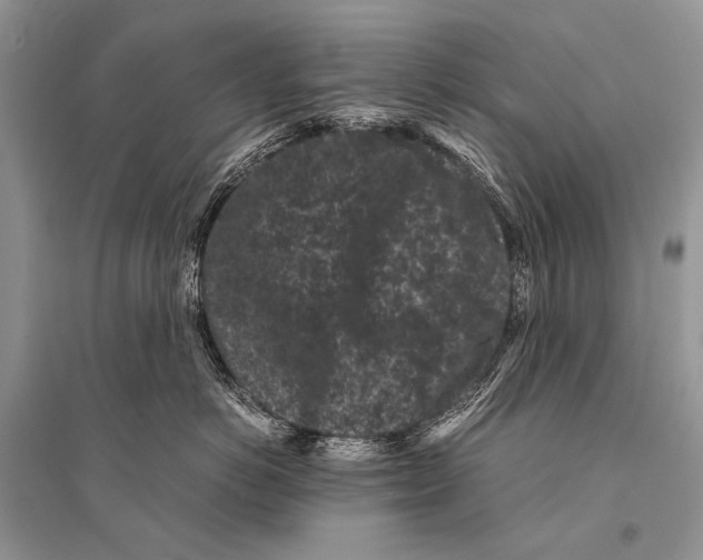 X0000094910766200712201157