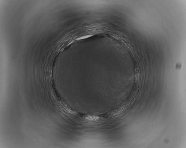 X0000094910767200712201157
