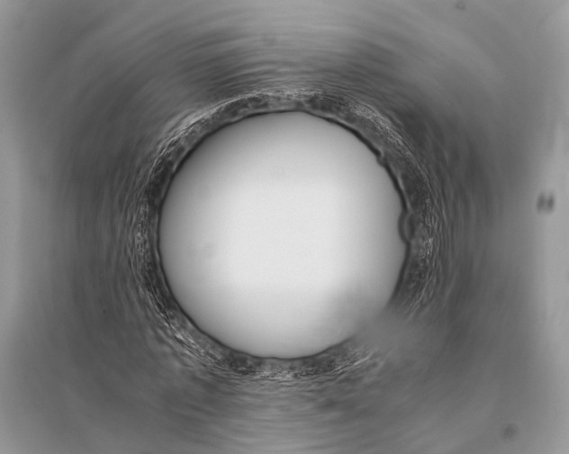 X0000094910773200712201156