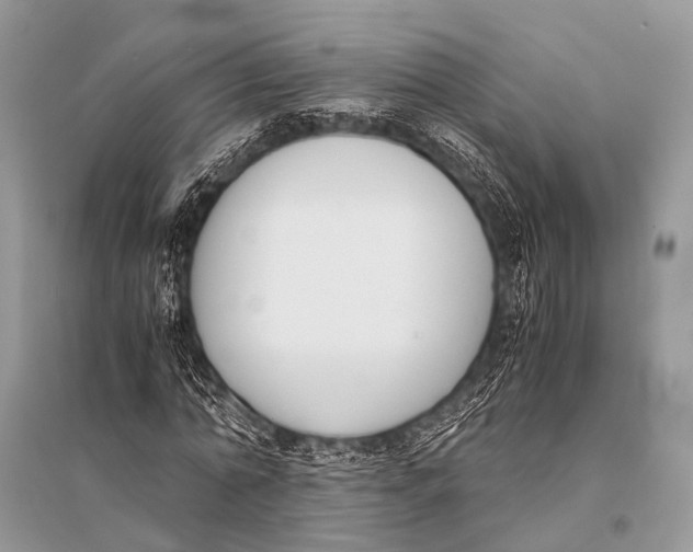 X0000094910774200712201156
