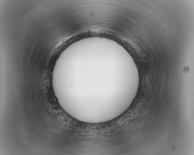 X0000094910776200712201156