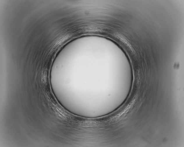 X0000094910777200712201156