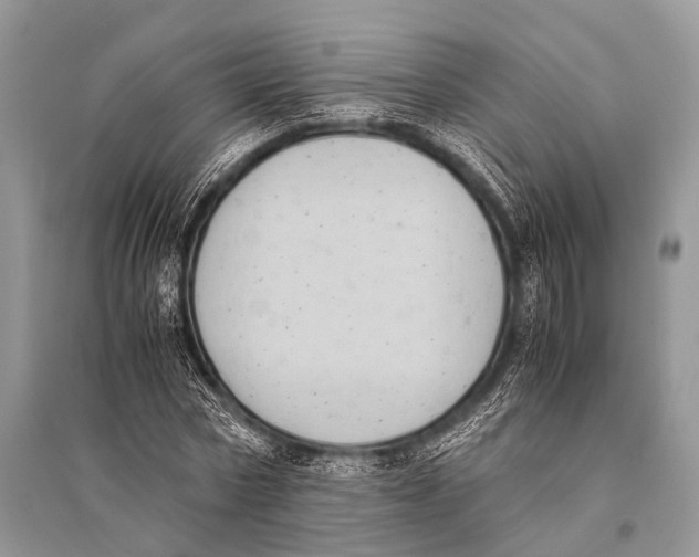 X0000094910778200712201156