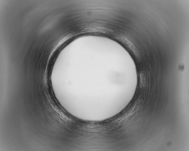 X0000094910780200712201156