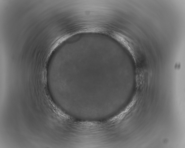 X0000094910781200712201156