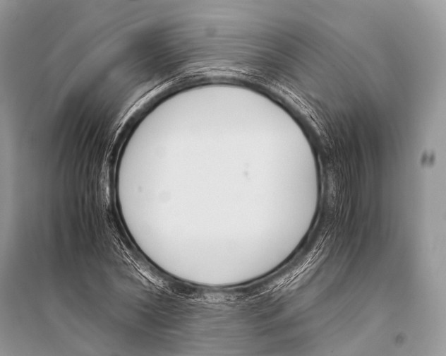 X0000094910782200712201156