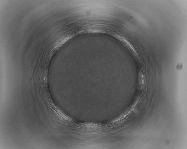 X0000094910785200712201156
