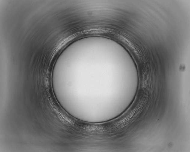 X0000094910786200712201156