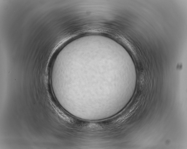 X0000094910787200712201156
