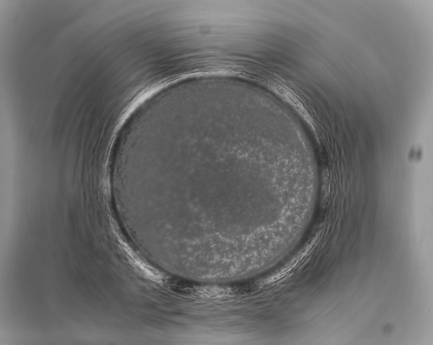 X0000094910789200712201156