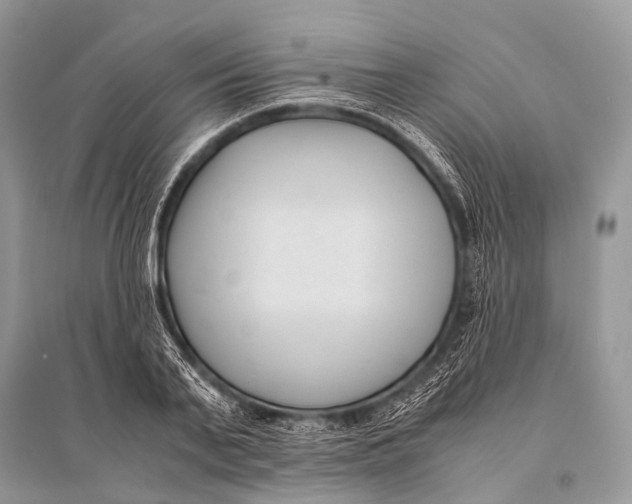 X0000094910791200712201156