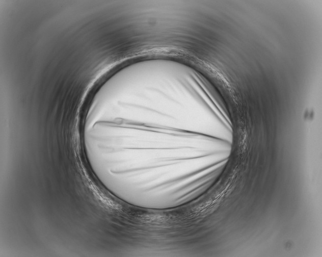 X0000094910792200712201156
