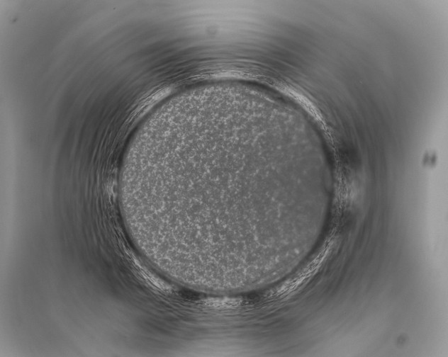 X0000094910793200712201156