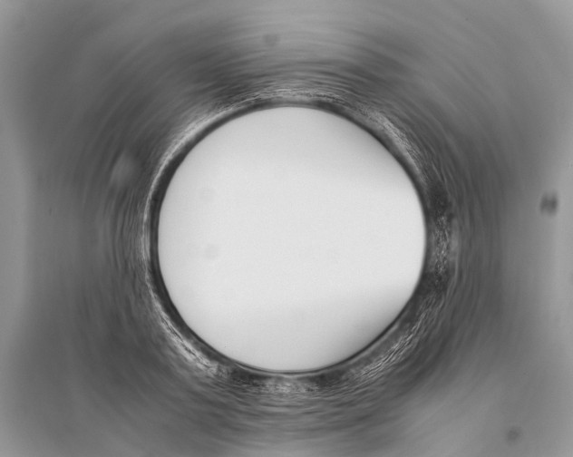 X0000094910795200712201156