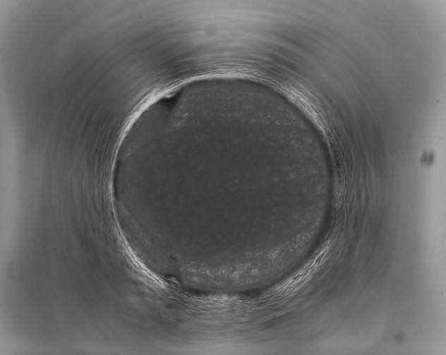X0000094910797200712201156