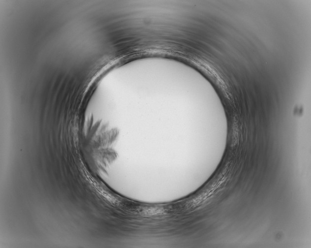 X0000094910798200712201156