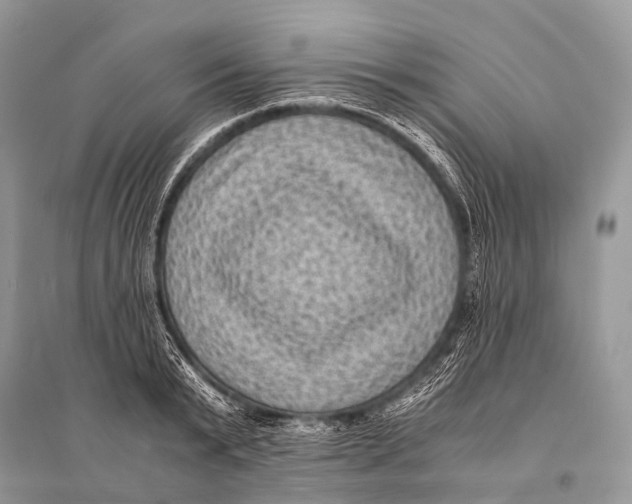 X0000094910799200712201156