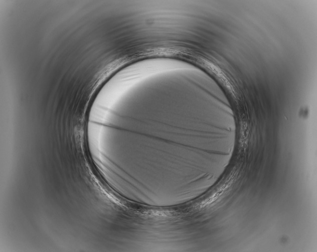 X0000094910802200712201156