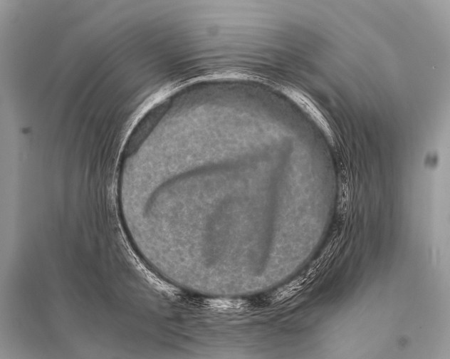 X0000094910805200712201156