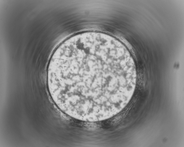 X0000094910807200712201156