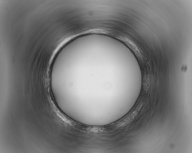 X0000094910808200712201156