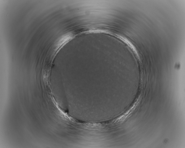 X0000094910809200712201156