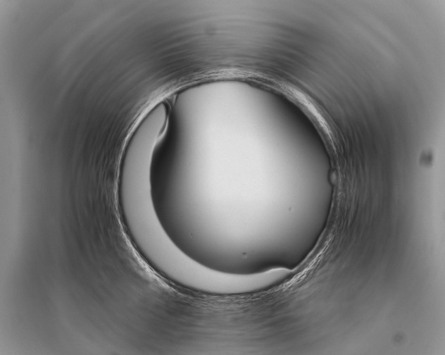 X0000094910810200712201156
