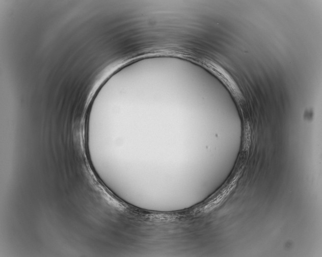X0000094910812200712201156