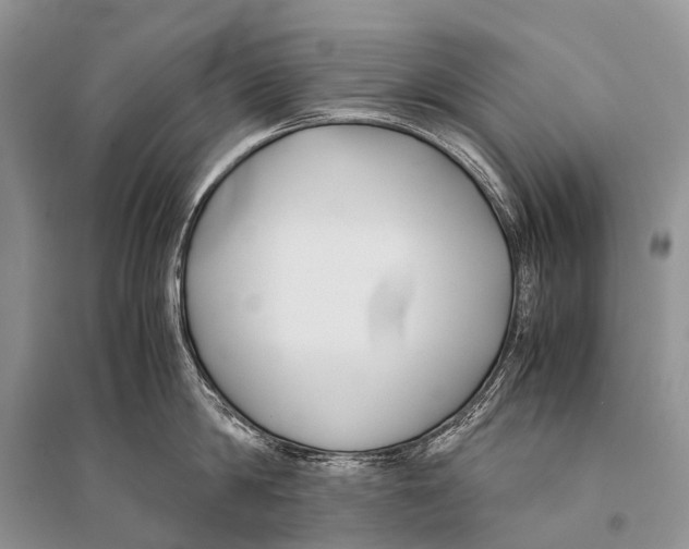 X0000094910814200712201156