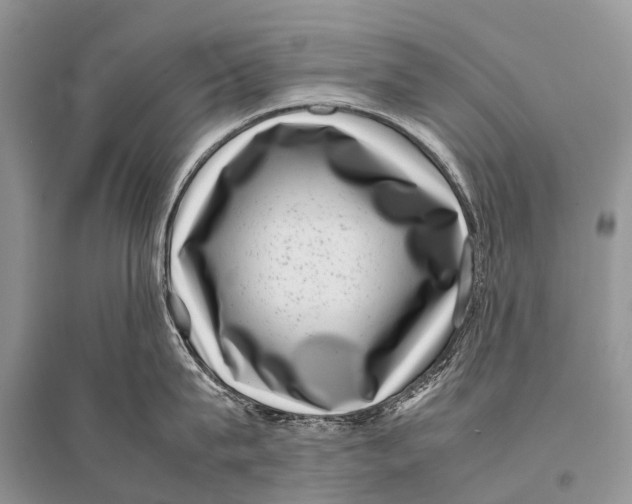 X0000094910815200712201156