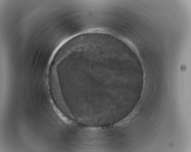 X0000094910816200712201156