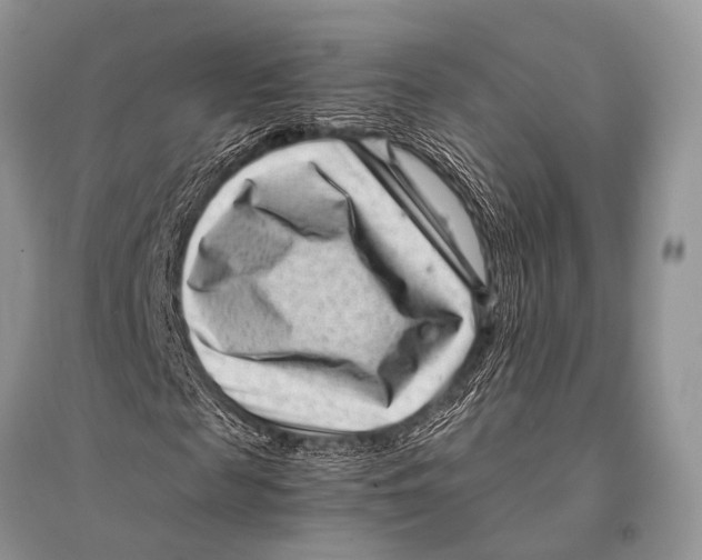 X0000094910817200712201155